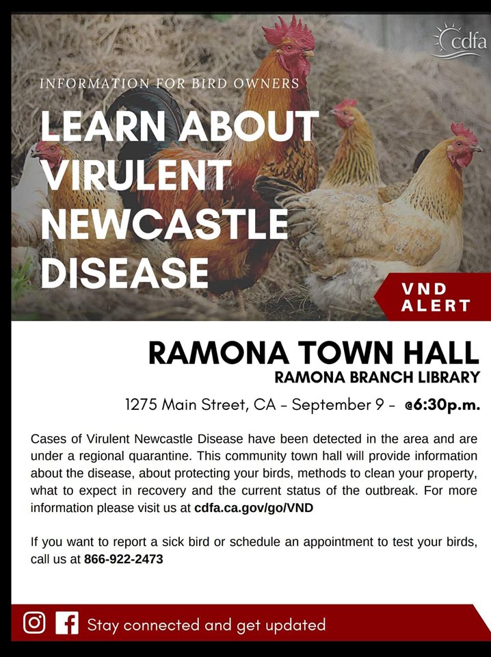 Learn about Virulent Newcastle Disease Ramona Library