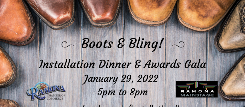 Boots and Bling Installation Dinner and Gala 2022 (1)