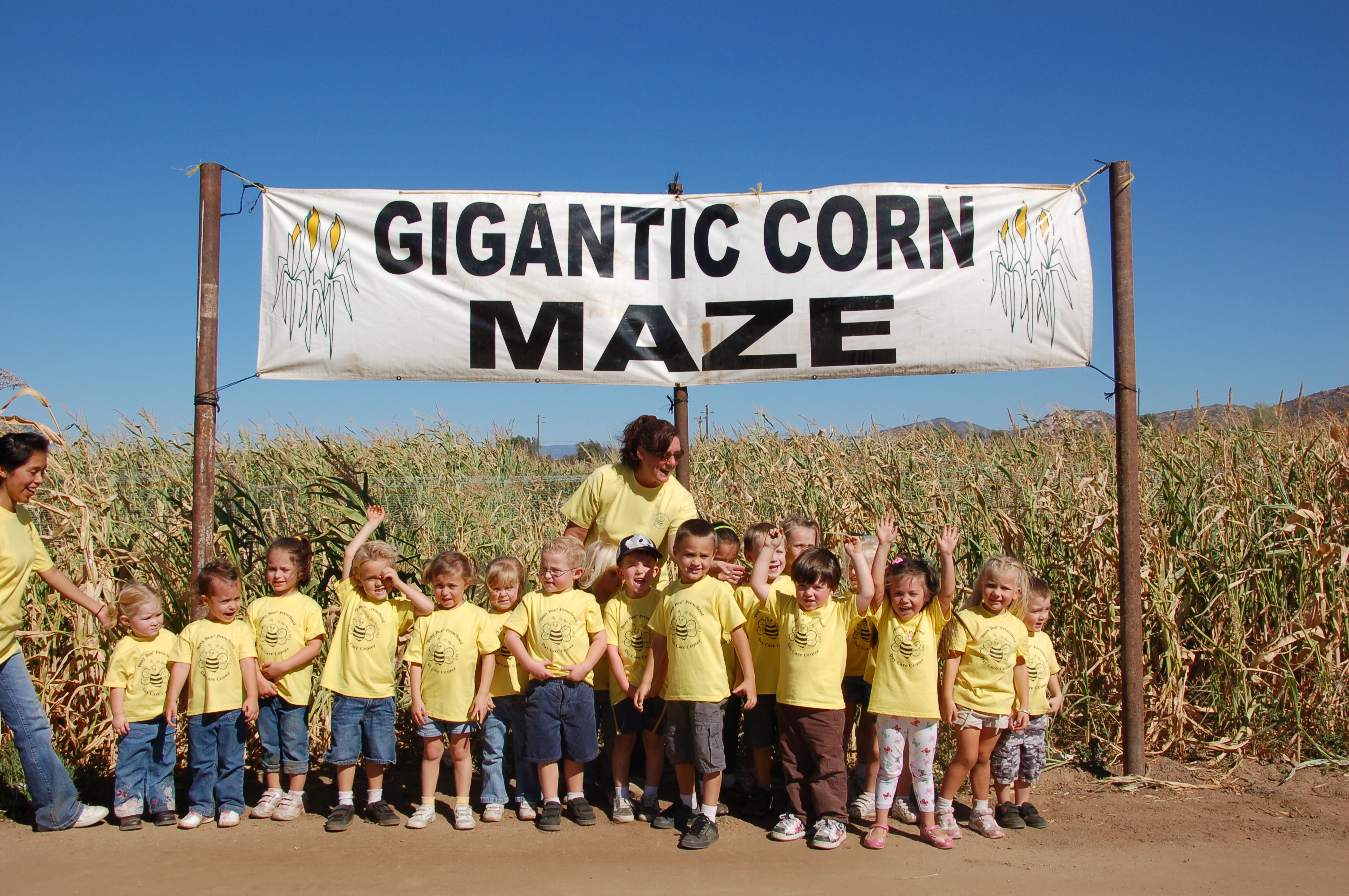 Mountain Valley Ranch Corn Maze